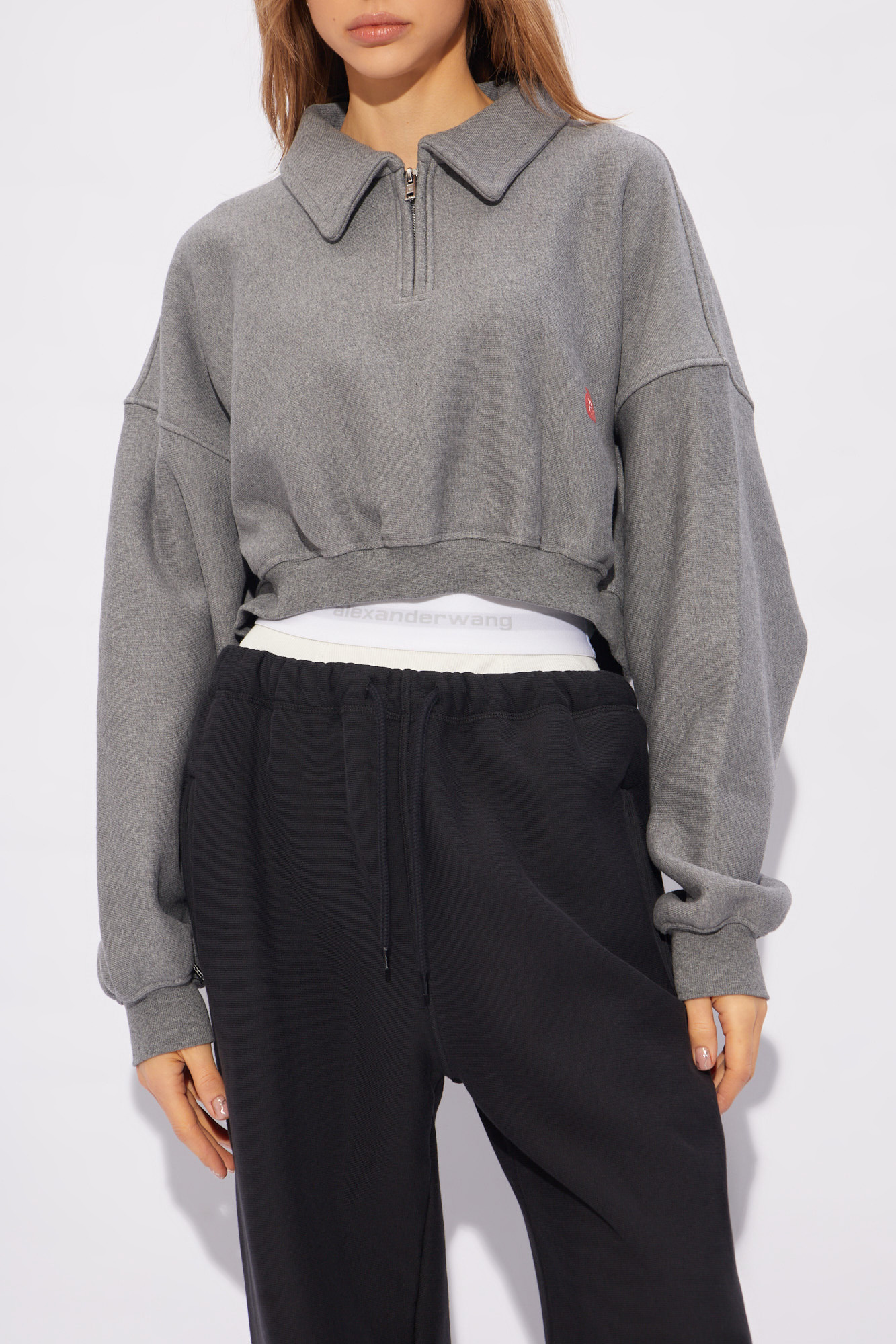 Grey Cropped sweatshirt with logo Alexander Wang - Vitkac Canada